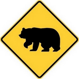 “Медведь” на рынке, трейдиг, биржа, торговля